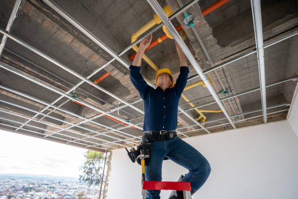 Best Leak Detection Services  in Leoti, KS